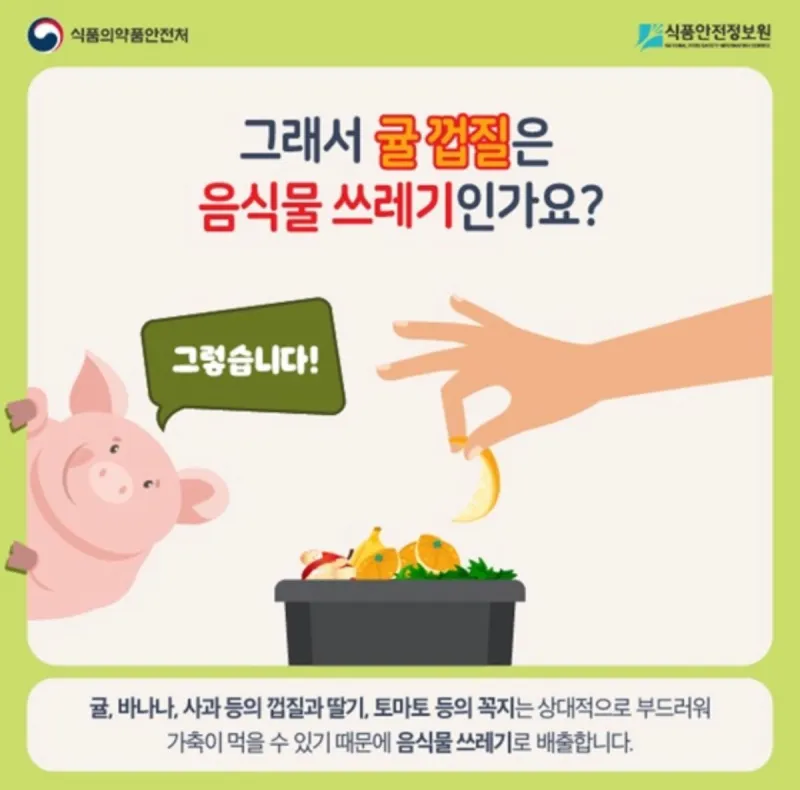 귤껍질 일반쓰레기에 버리지마라... 과태료 10만원 먹었다.jpg