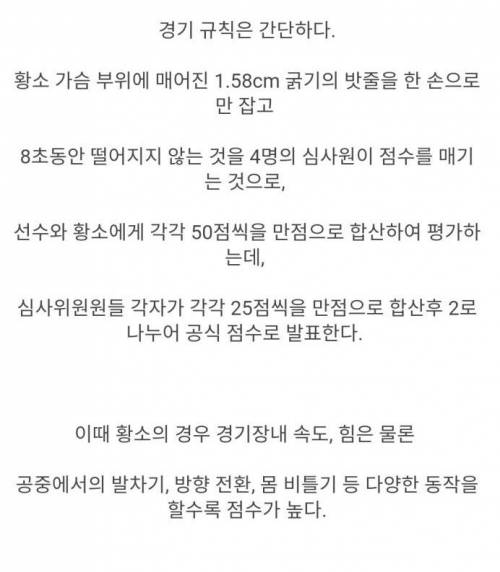 죽음의 8초를 버티면 수십억을 받는 스포츠 대회