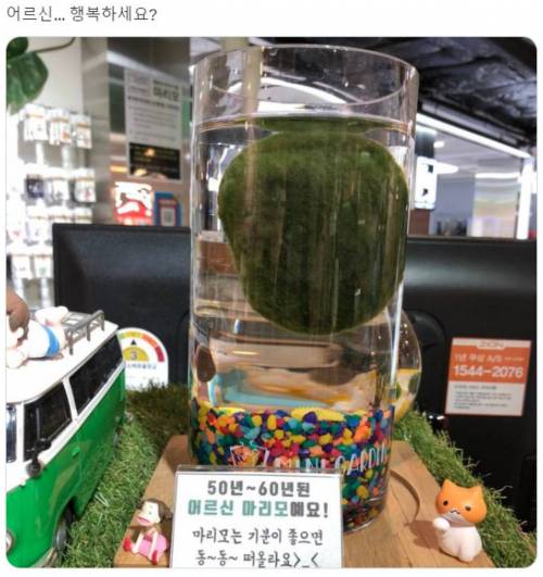 어르신 행복하세요?