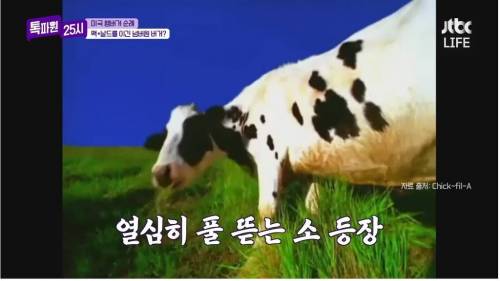 햄버거에 진심인 미국인.jpg