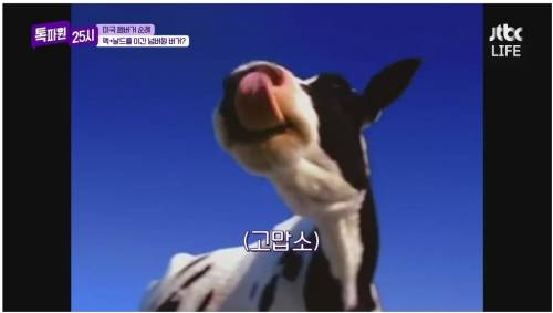 햄버거에 진심인 미국인.jpg