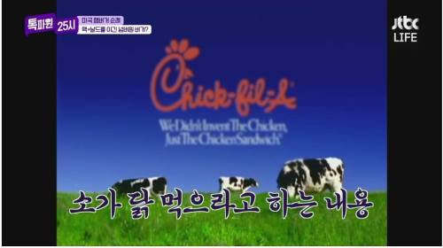 햄버거에 진심인 미국인.jpg