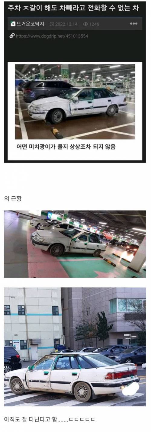 주차장 진짜 광기의 차 근황