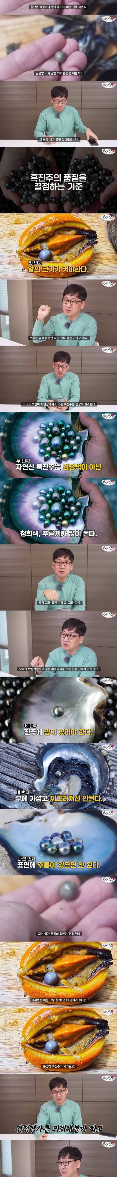 홍합 먹다가 흑진주 발견한 수산물 유튜버