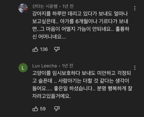 아기 입양전 위탁하는 가정이 생각보다 힘든 이유