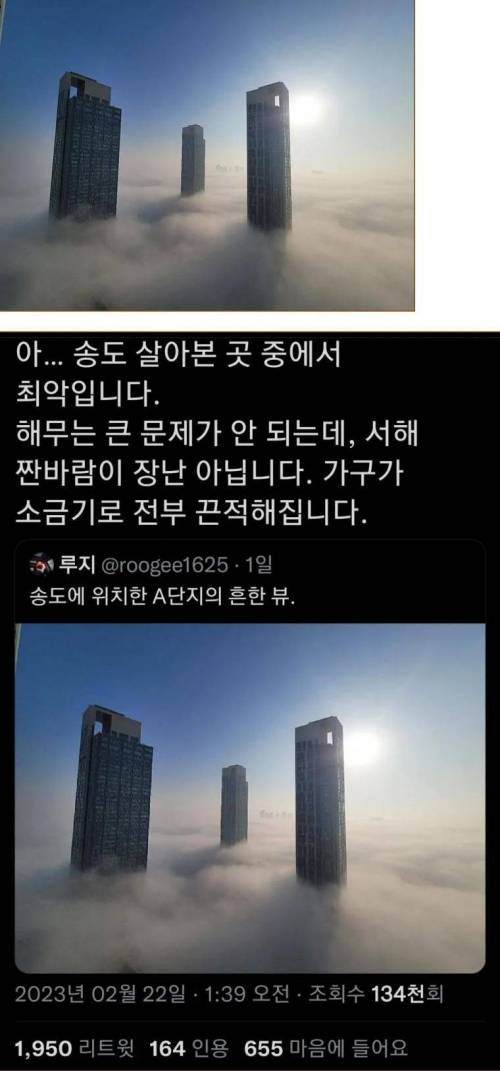 송도 금수저 아파트의 천국뷰