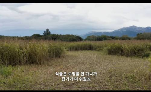 믿기 힘든 인류 최초의 도시 유적지