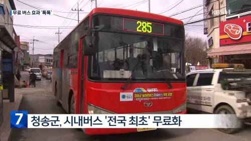 시내버스 무료운행 결과