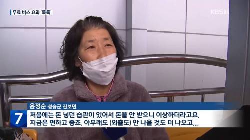 시내버스 무료운행 결과