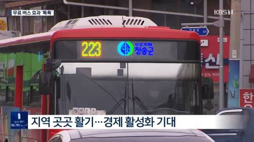 시내버스 무료운행 결과