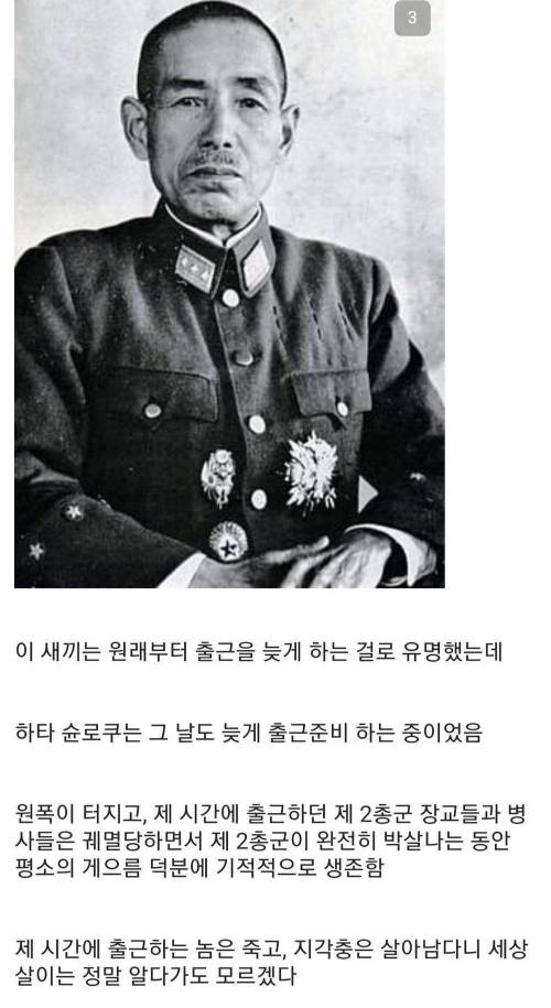 게을러서 살아남은 일본인