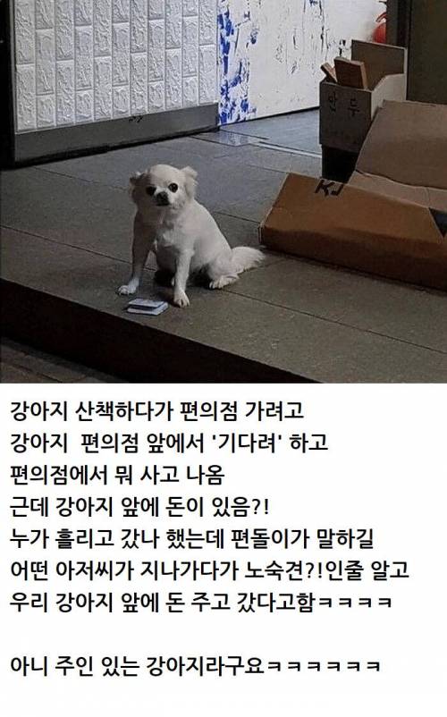 				??? : 멍멍아 뜨신 밥이라도 사 먹거라...