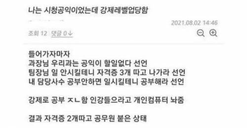 강제로 레벨업한 시청 공익