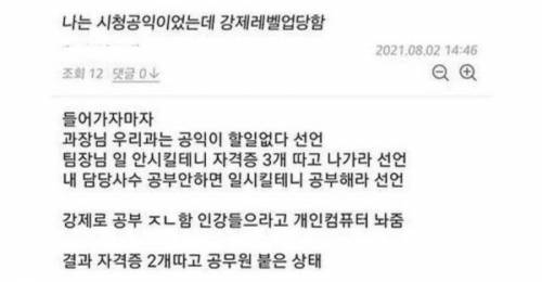 강제로 레벨업한 시청 공익