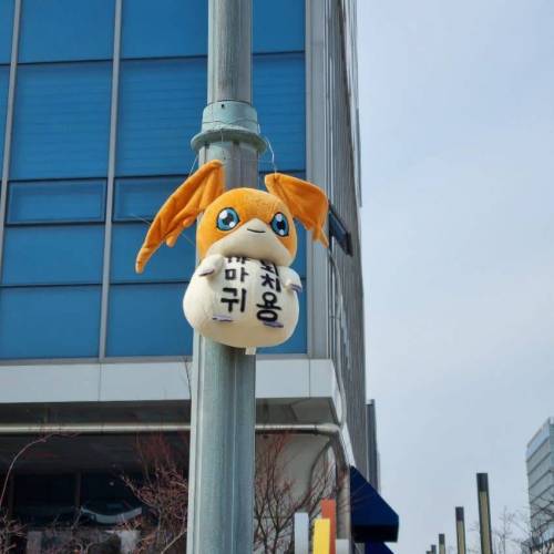 어느동네 파닥몬.jpg