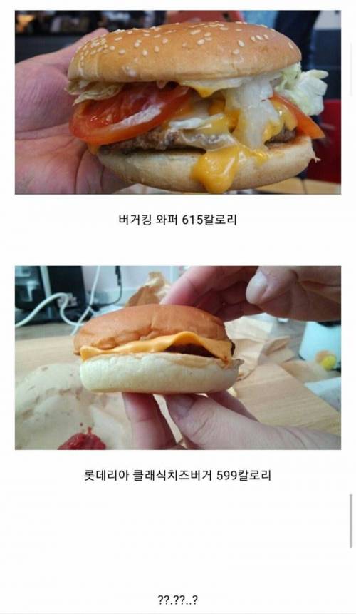 버거킹 vs 롯데리아 칼로리 비교