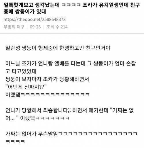 살면서 처음으로 쌍둥이 보고 당황한 조카