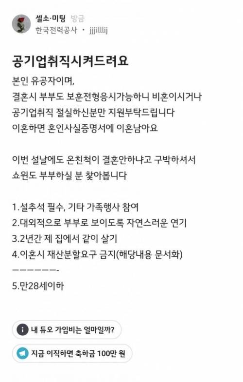 쇼윈도우 부부 하실 분 찾습니다.