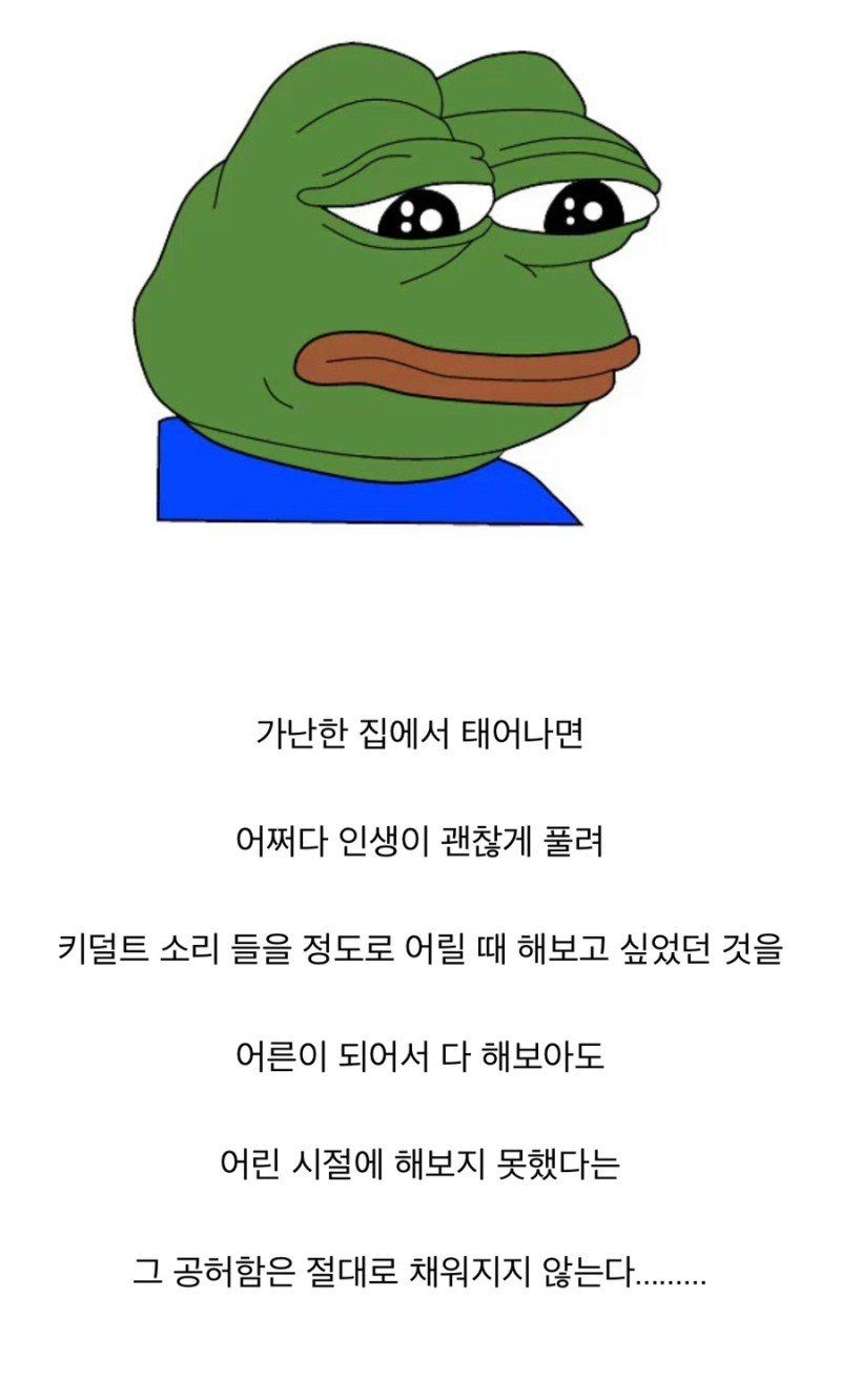 어른이 되어 돈 많이 벌어도 채울 수 없는 것..jpg