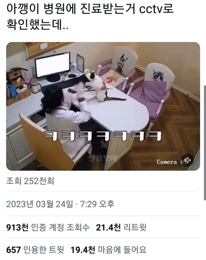 동물병원 cctv 논란