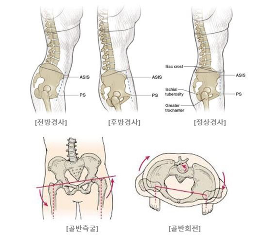 몇백만원대 의자가 싸게 보이는 방법