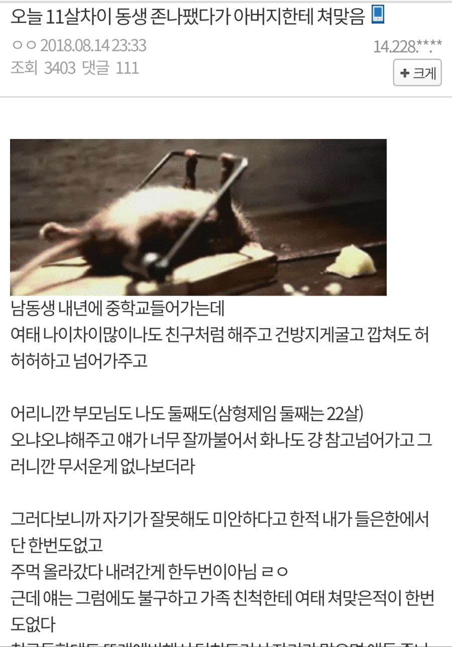 11살 차이나는 동생 싸다구 날린 썰