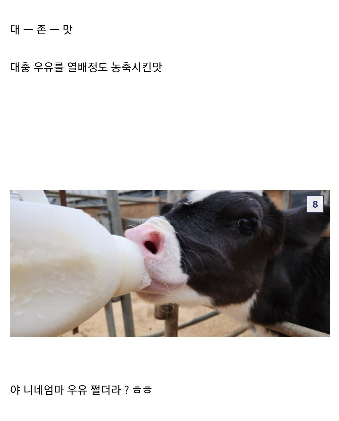 카이막을 만들어본 DC인