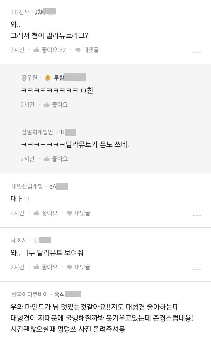 하루 40킬로미터 산책 시킨다는 말라뮤트 견주.jpg