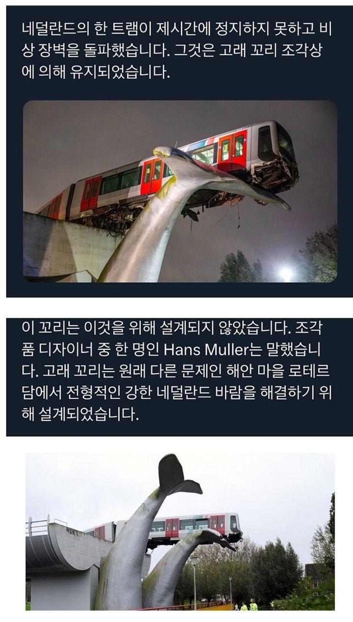 사고를 막은 고래