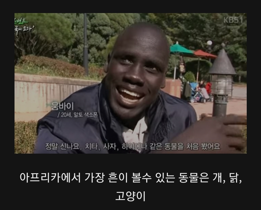 아프리카 사람이 한국에 와서 처음보고 놀란것!