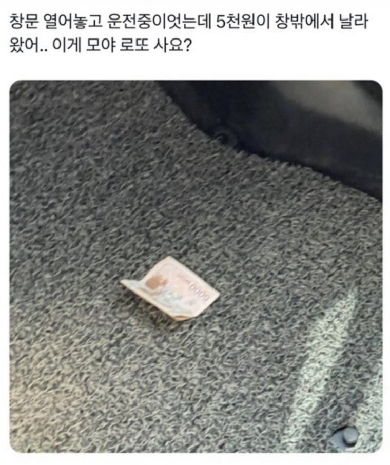 창문 열어놓고 운전중이었는데.jpg