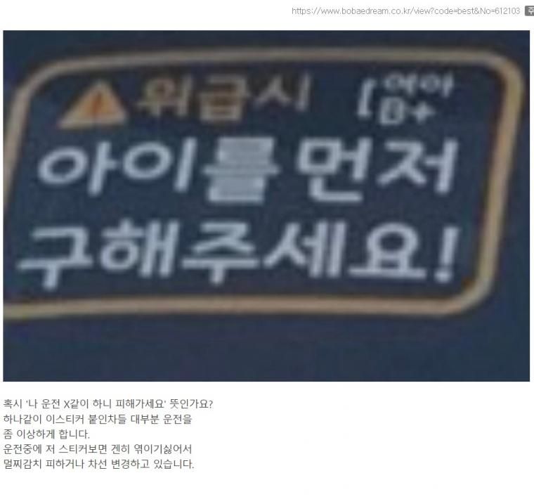 보배 형들도 슬슬 피해가는 차.