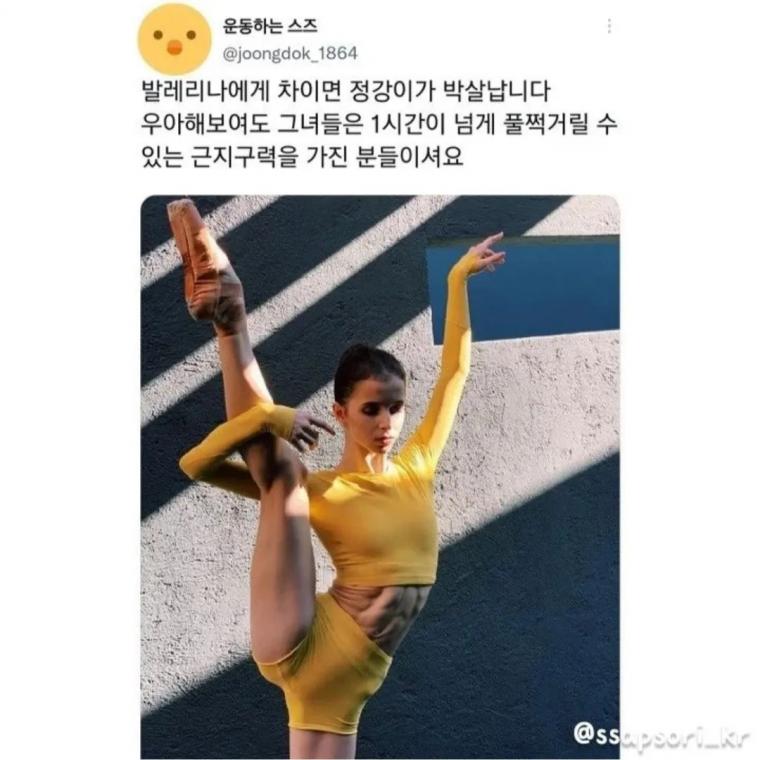 의외로 매우 쎈 스포츠 ㄷㄷ.jpg