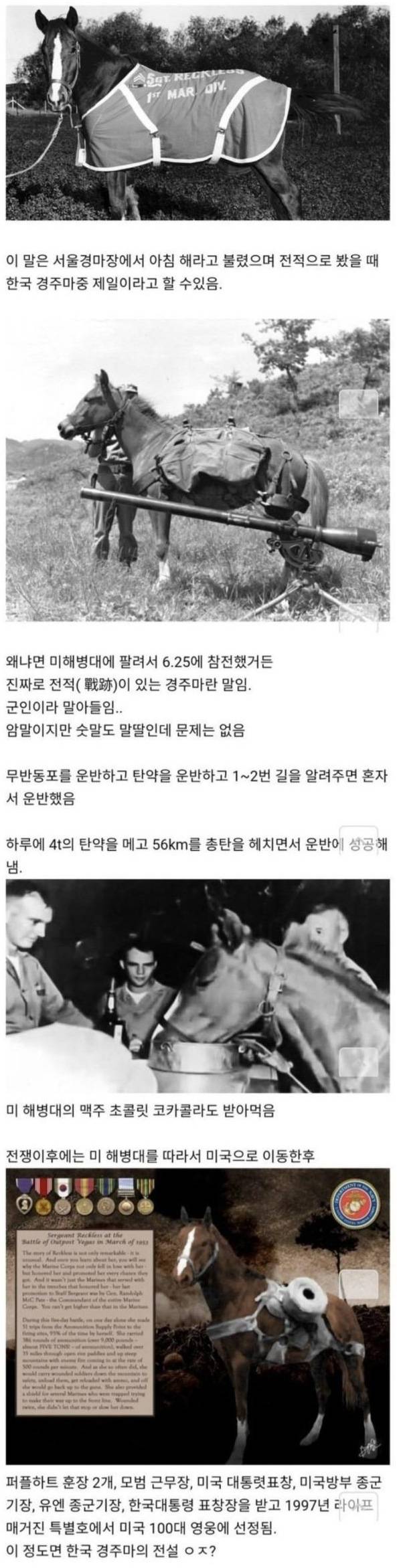 전설의 한국 경주마