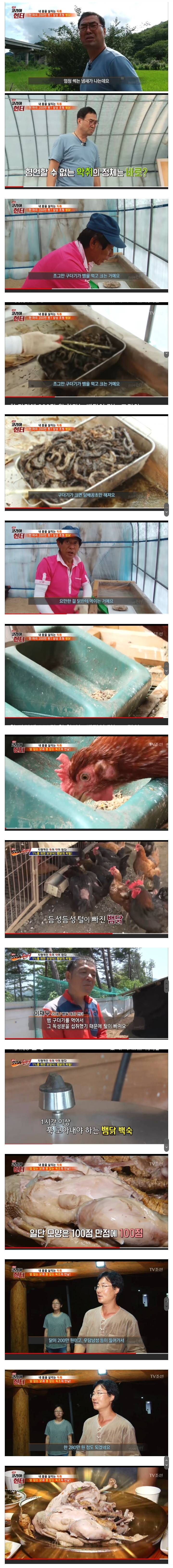 ??? : 뭐? 닭한마리에 3만원이라고?