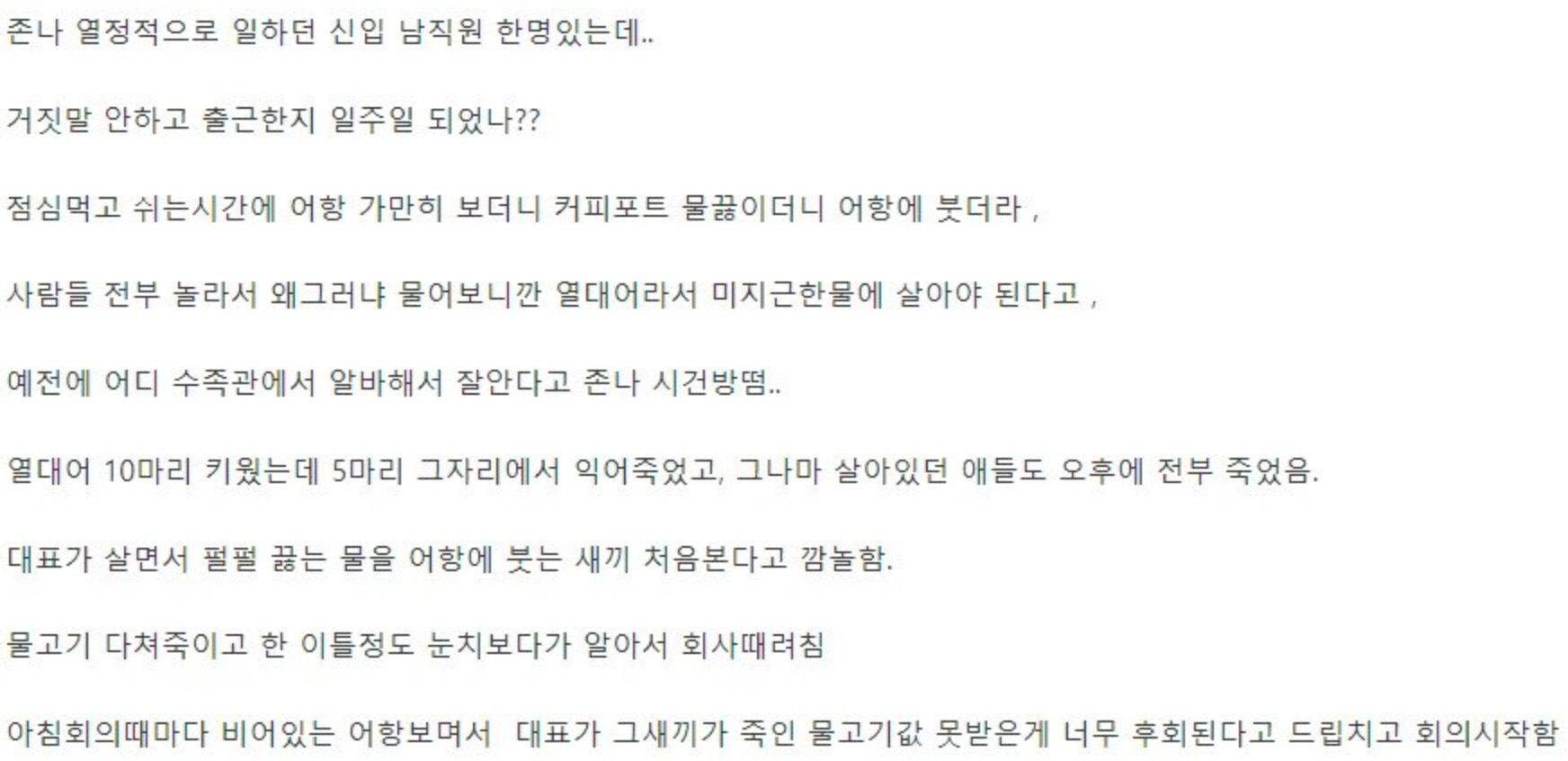 중소기업 갤러리에 안흔한 물고기 전문가