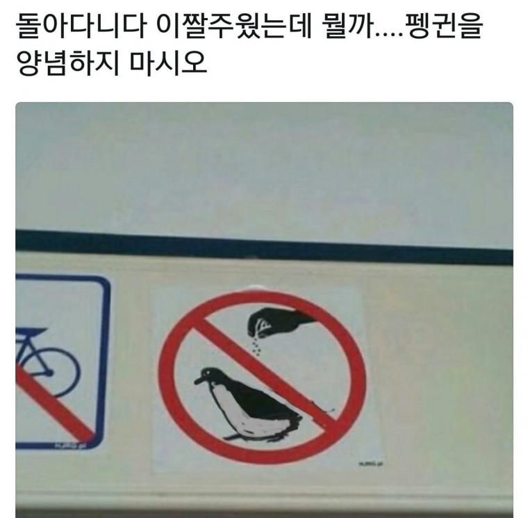 펭귄을 양념하지 마시오