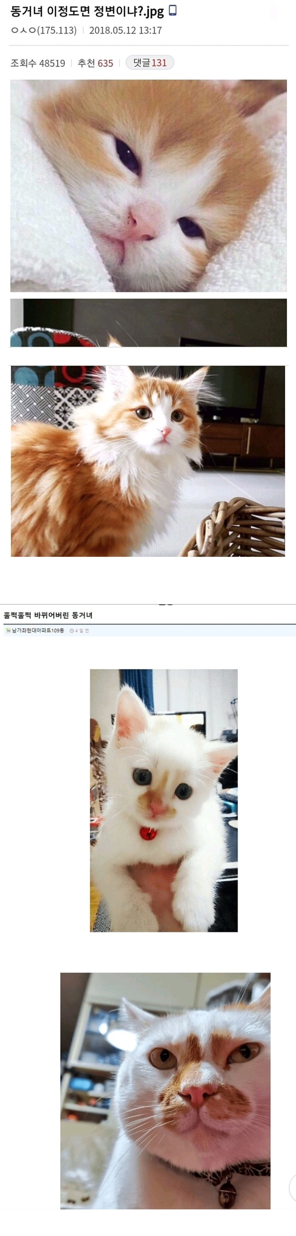 너무 바뀌어버린 동거녀