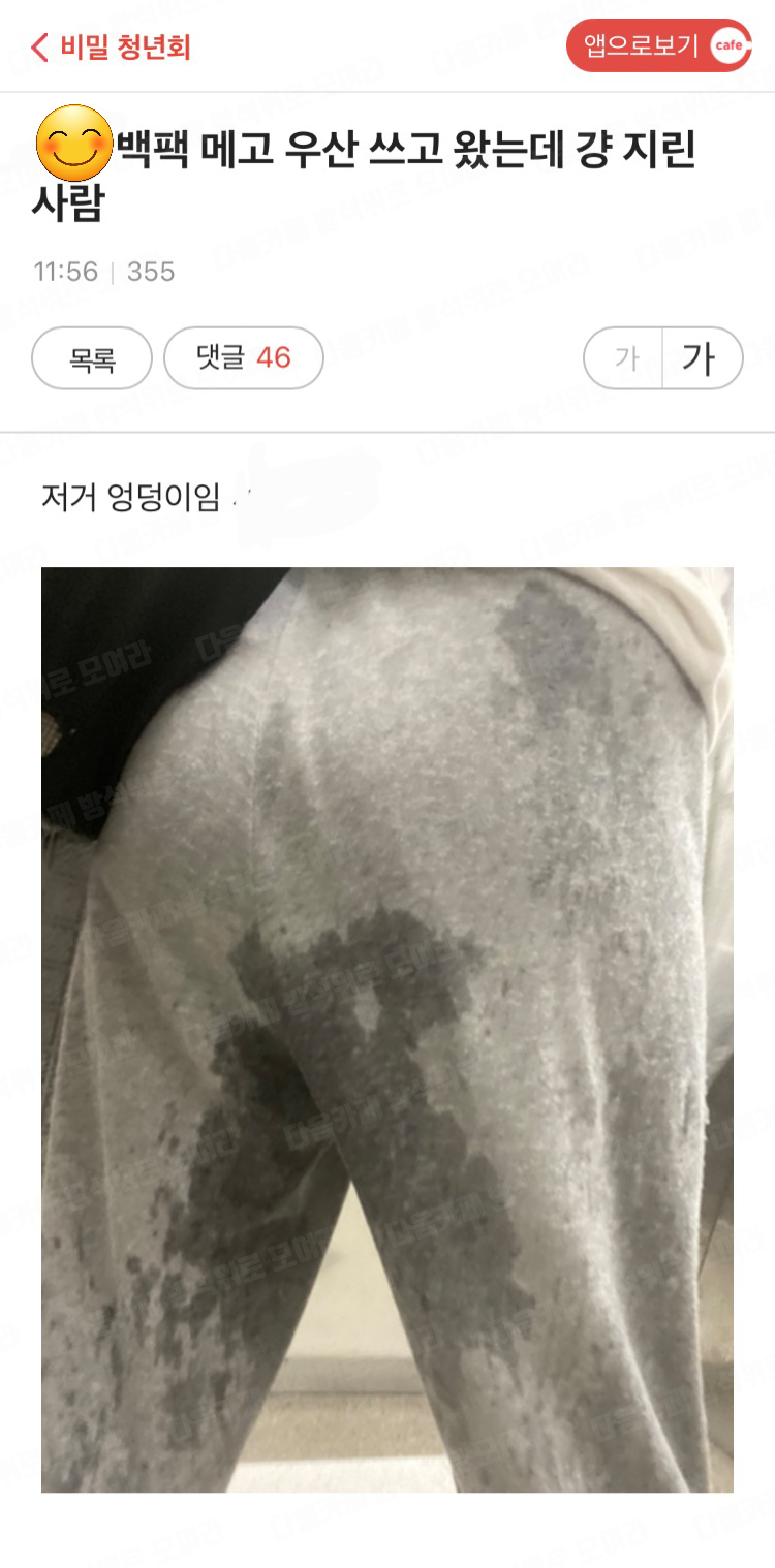 우리한테는 거짓말하지 않아도 되는데