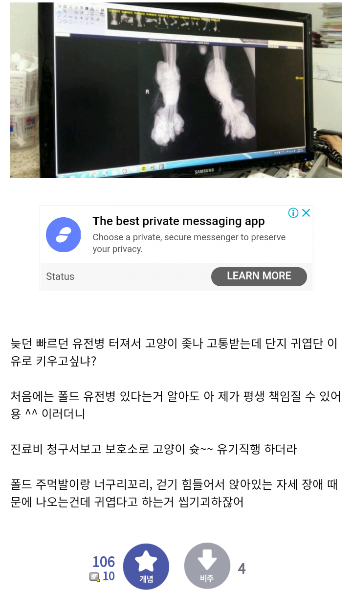 혐) 스코티쉬폴드의 비참한 말로