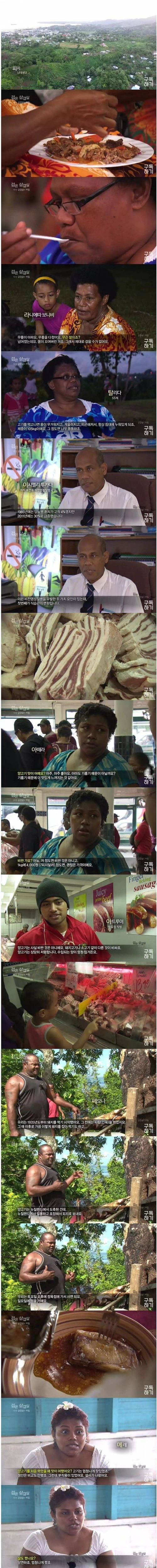 님태평양 섬사람들이 살 찌는 이유