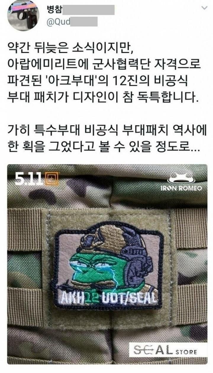 UDT의 비공식 부대패치.jpg