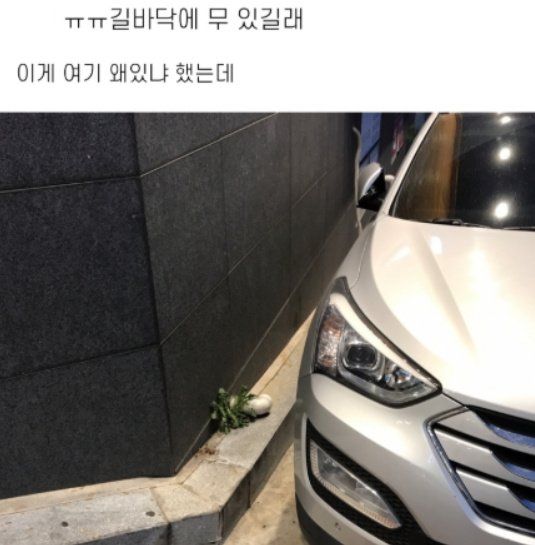 무를 왜 여기다 버려?