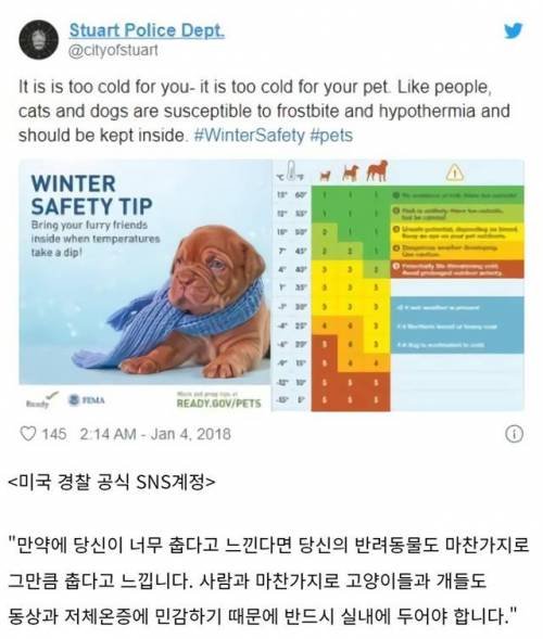 애완동물이 느끼는 온도