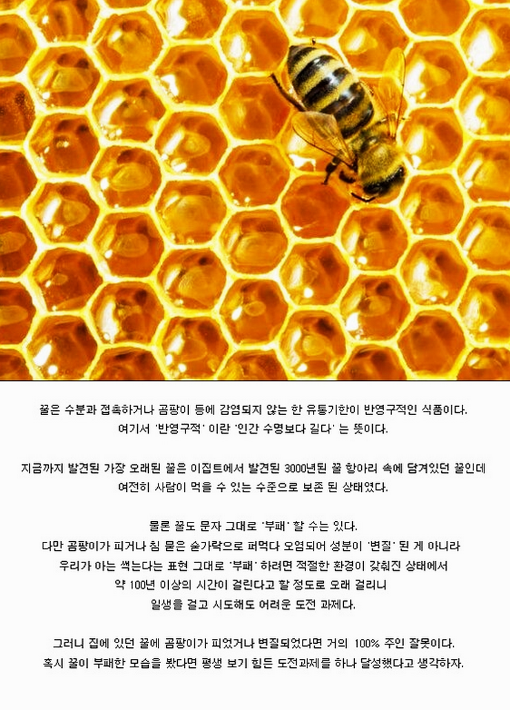 상하면 거의 100% 인간 잘못인 음식.jpg