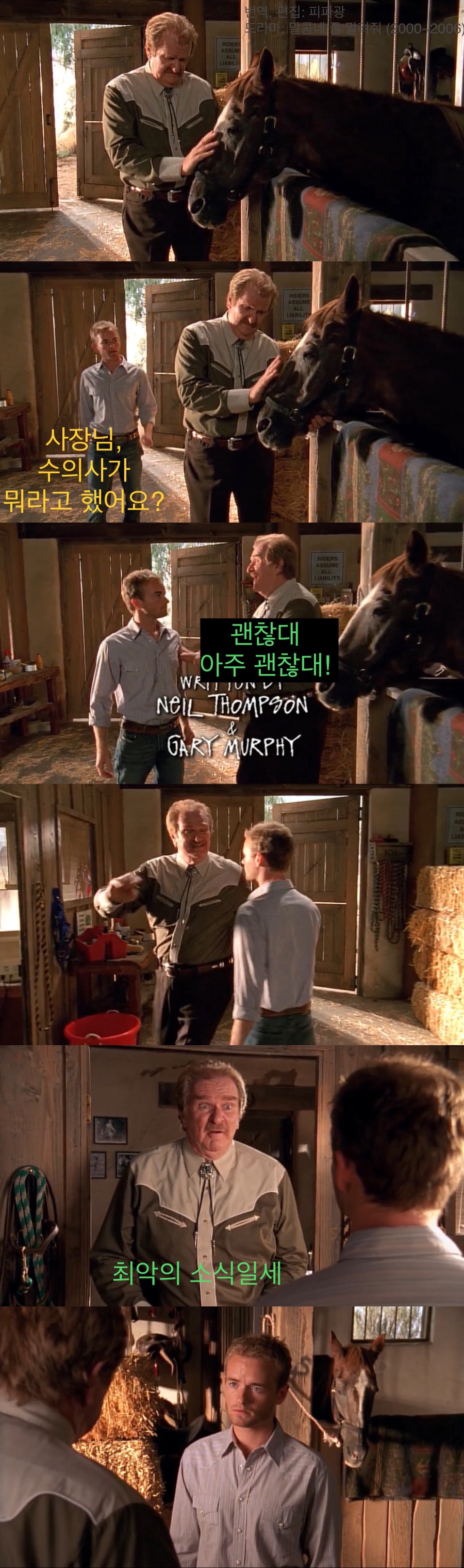 소중히 키운 말을 죽여야하는 카우보이들