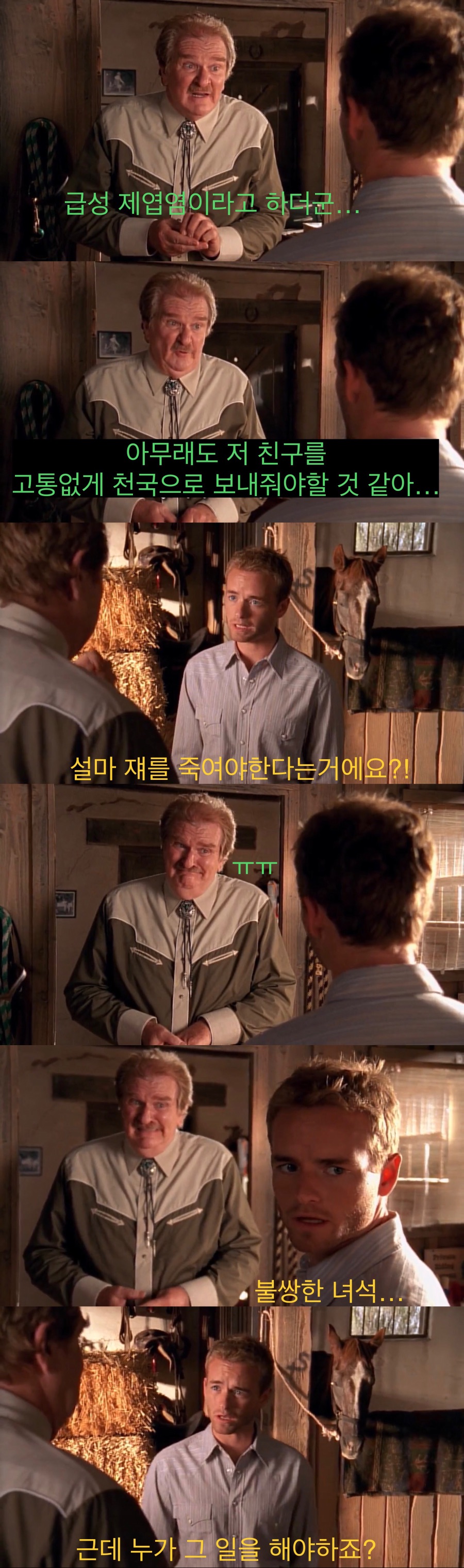 소중히 키운 말을 죽여야하는 카우보이들