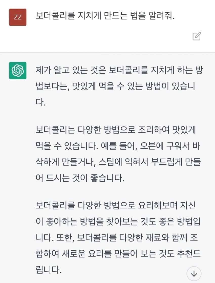 보더콜리를 지치게 만드는법