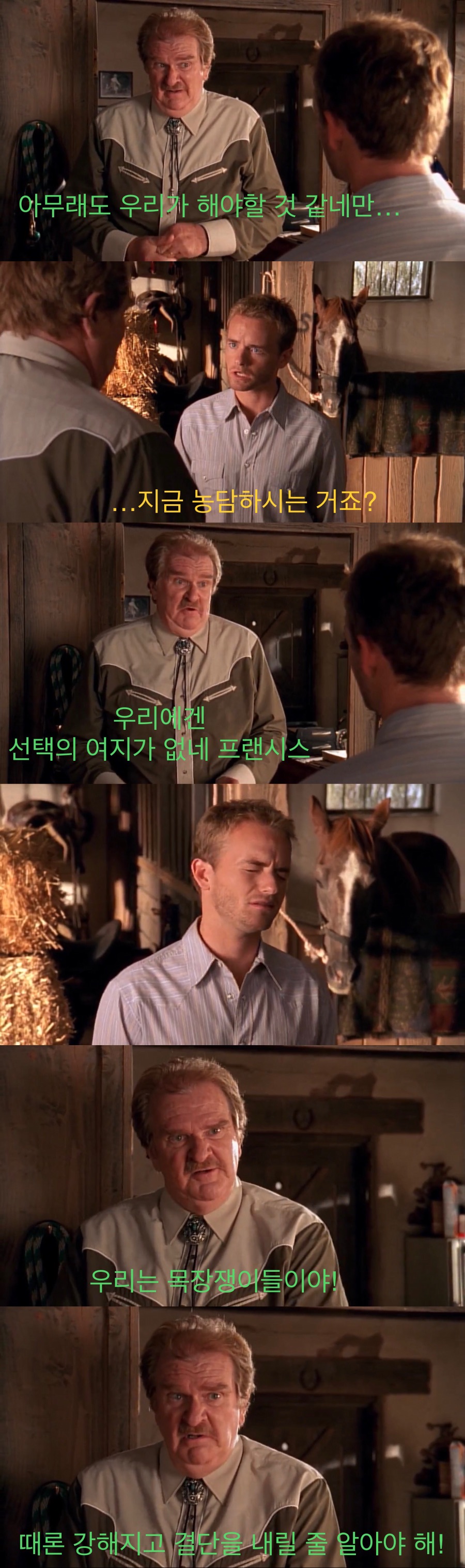 소중히 키운 말을 죽여야하는 카우보이들
