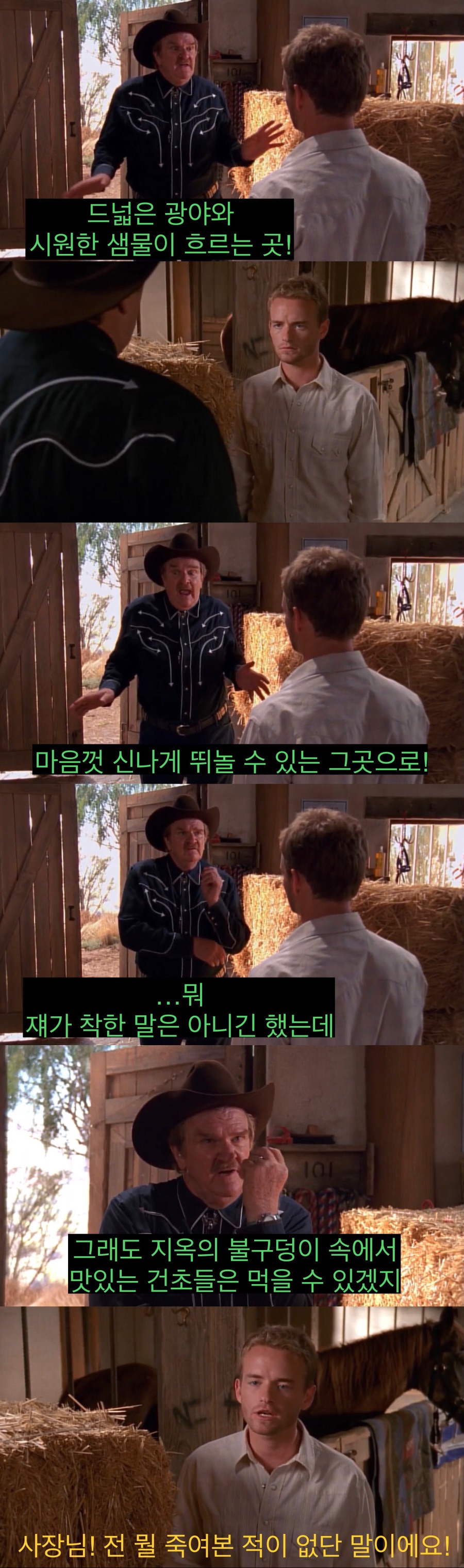 소중히 키운 말을 죽여야하는 카우보이들